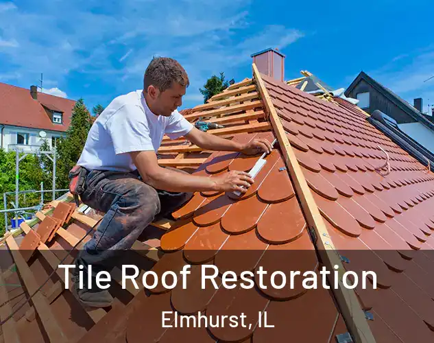  Tile Roof Restoration Elmhurst, IL